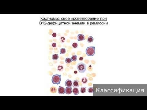 Видео о препарате Префолик таблетки 15мг №30